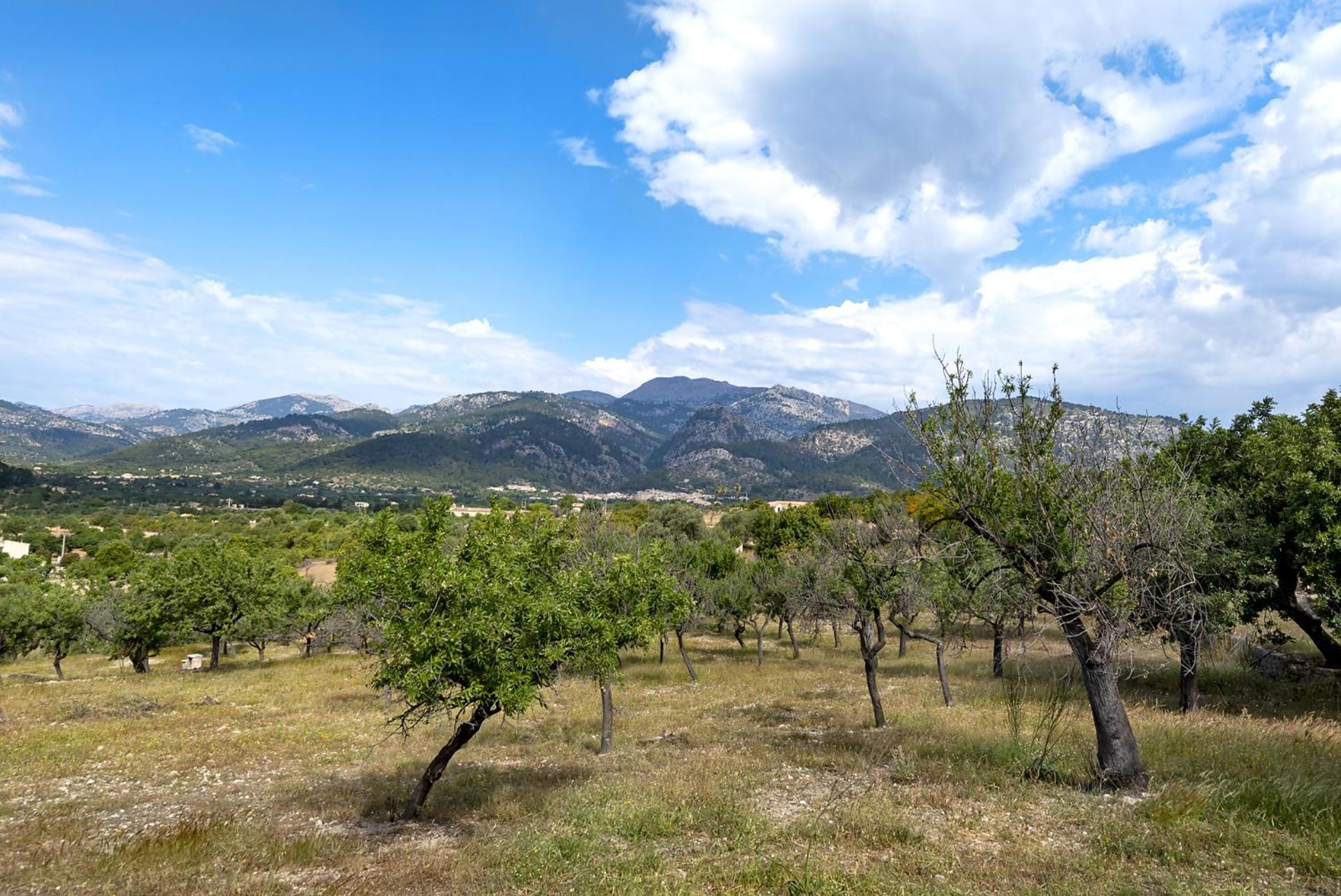 Sestadors * Selva (Mallorca)